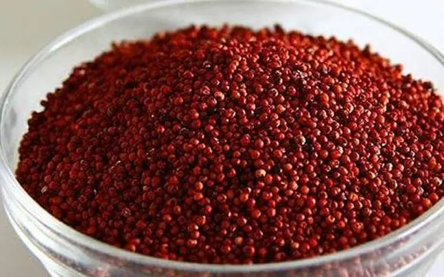 finger millet