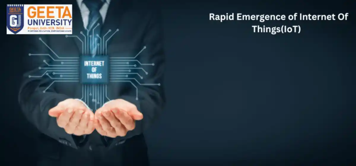 Rapid Emergence of Internet