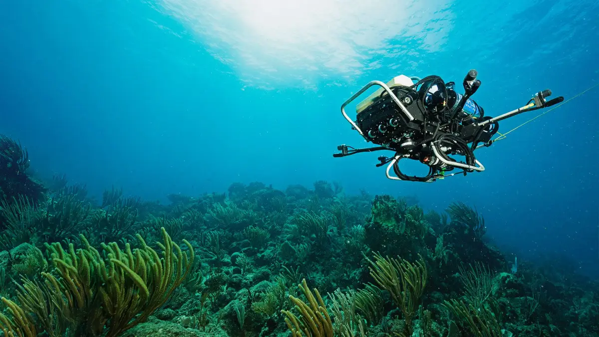 underwater robotics
