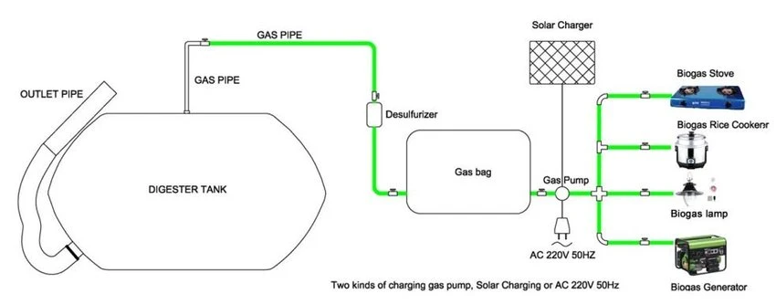 Electricity Generation from Biogas