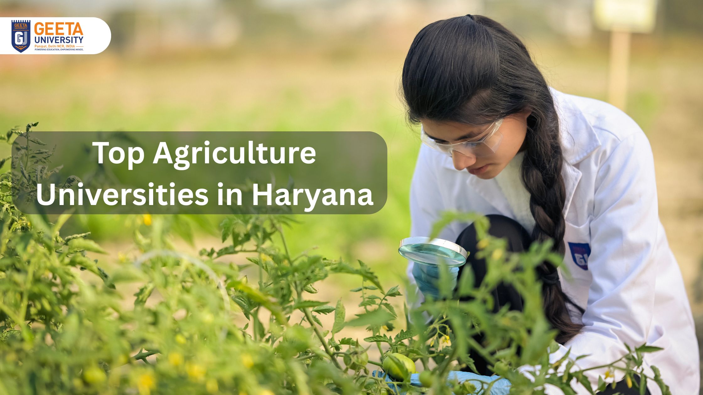 Top 10 agriculture universities in Haryana including CCS HAU Hisar, Geeta University Panipat, LUVAS Hisar, and NDRI Karnal offering BSc Agriculture and PG programs.