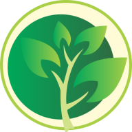 geeta-university-placement